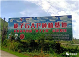 一步跨兩??！福鼎探索省界共建共治共享模式