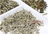福鼎白茶，夏季最佳茶飲，清心解暑