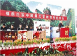 2012福鼎白茶熱潮年？
